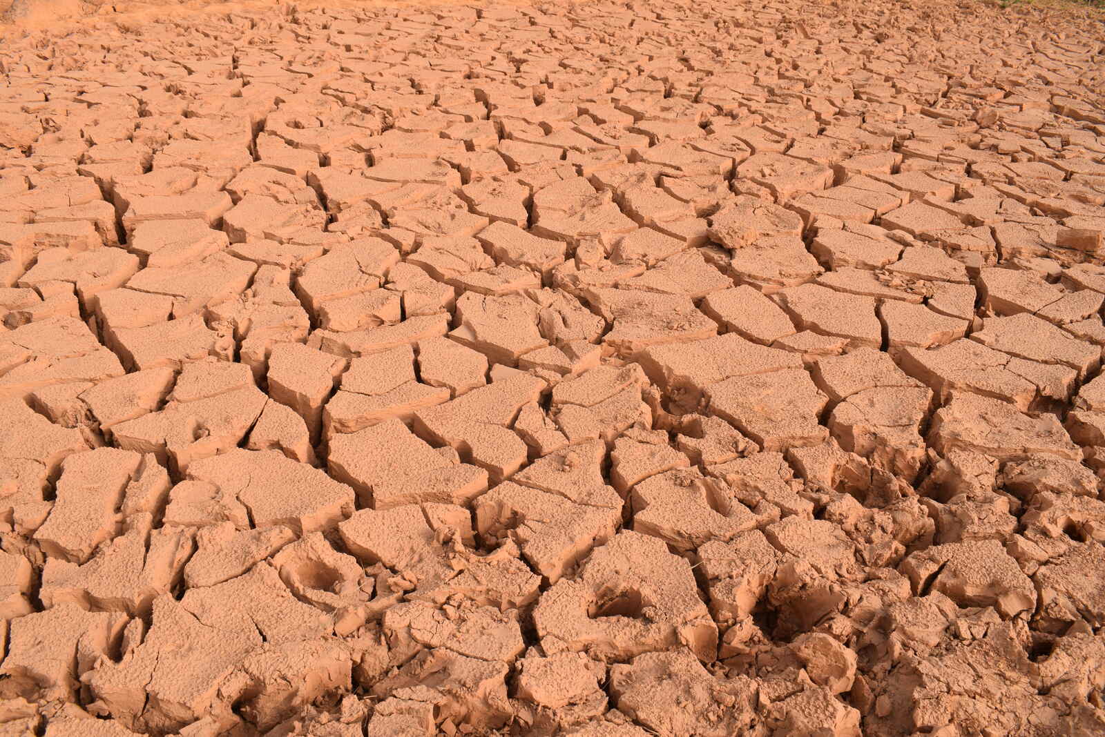 Dried clay soil shrinking into deep polygonal cracks