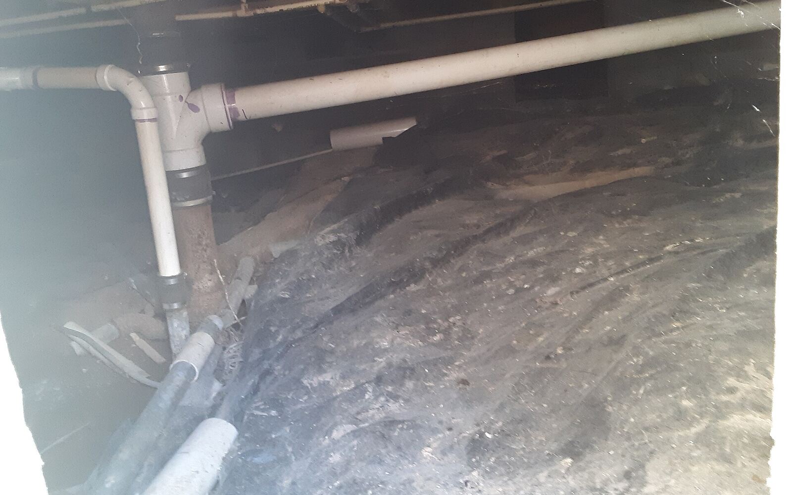 A crawlspace under a house with a plastic vapor barrier over the soil and PVC drain lines overhead
