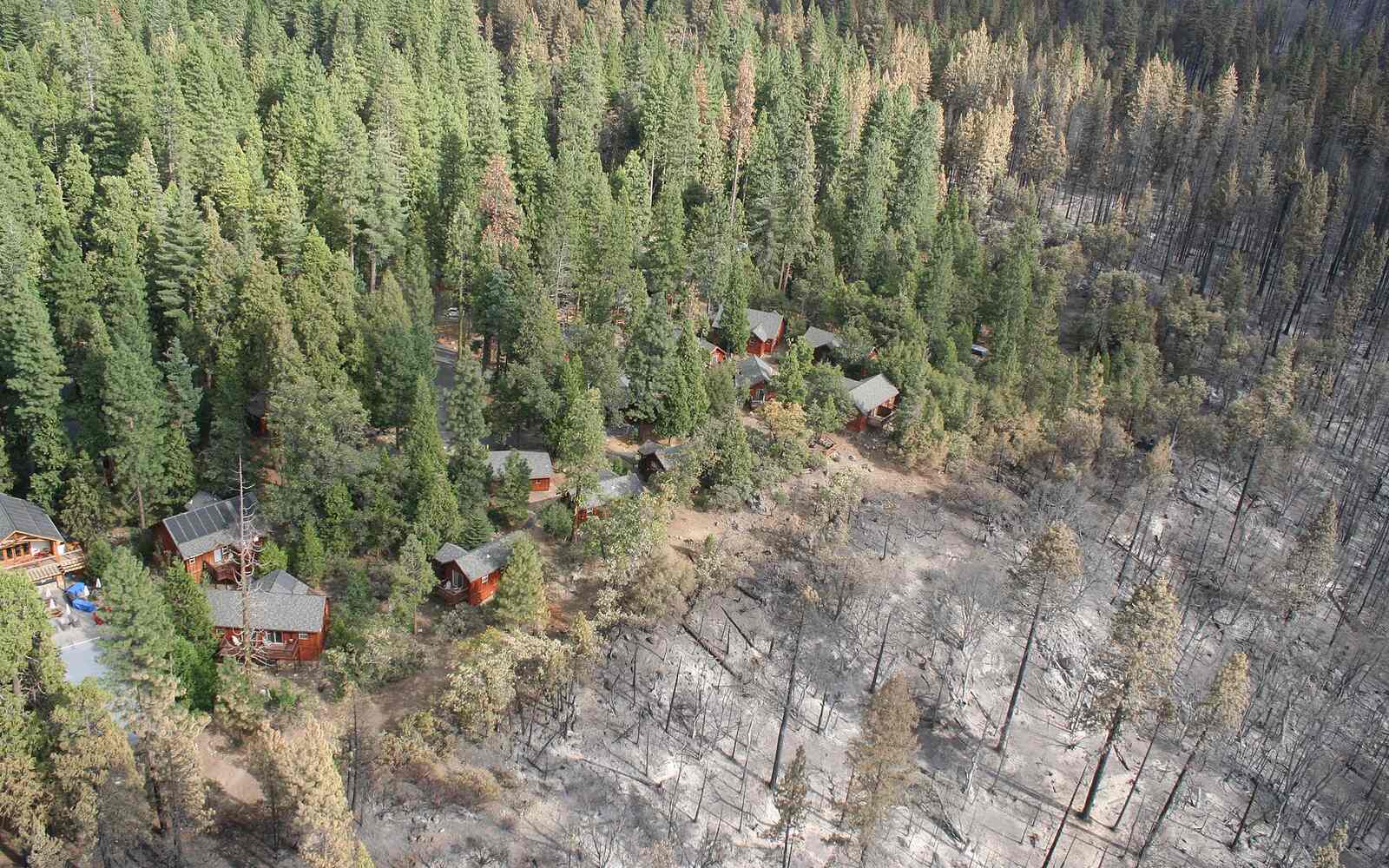 Aerial view of forest cabins that survived a wildfire, the thinned green stand standing beside the burned area